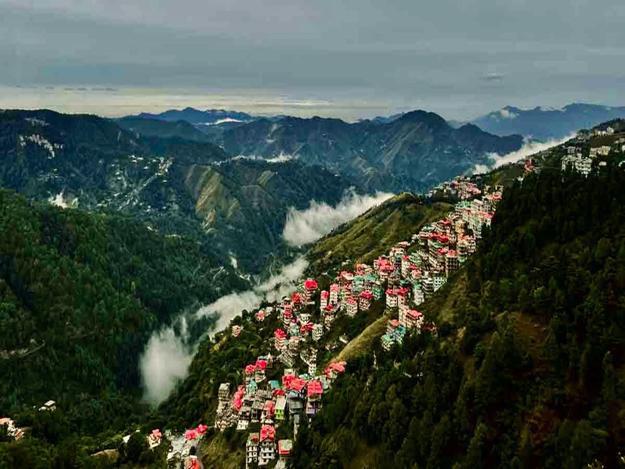 shimla